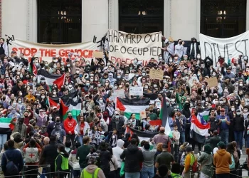 Protesto haktır!