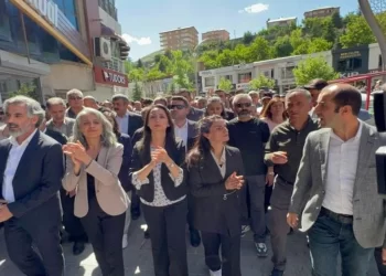 Kayyım uygulaması: Faşizm!